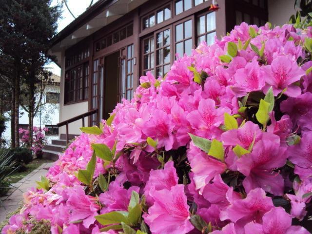Gardenia 3* Gramado