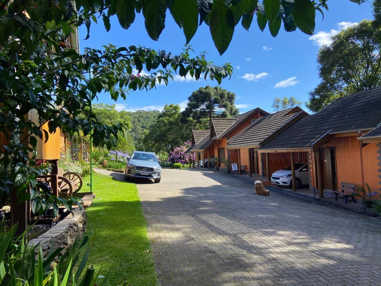 Maibe Amanhecer Na Serra Gramado