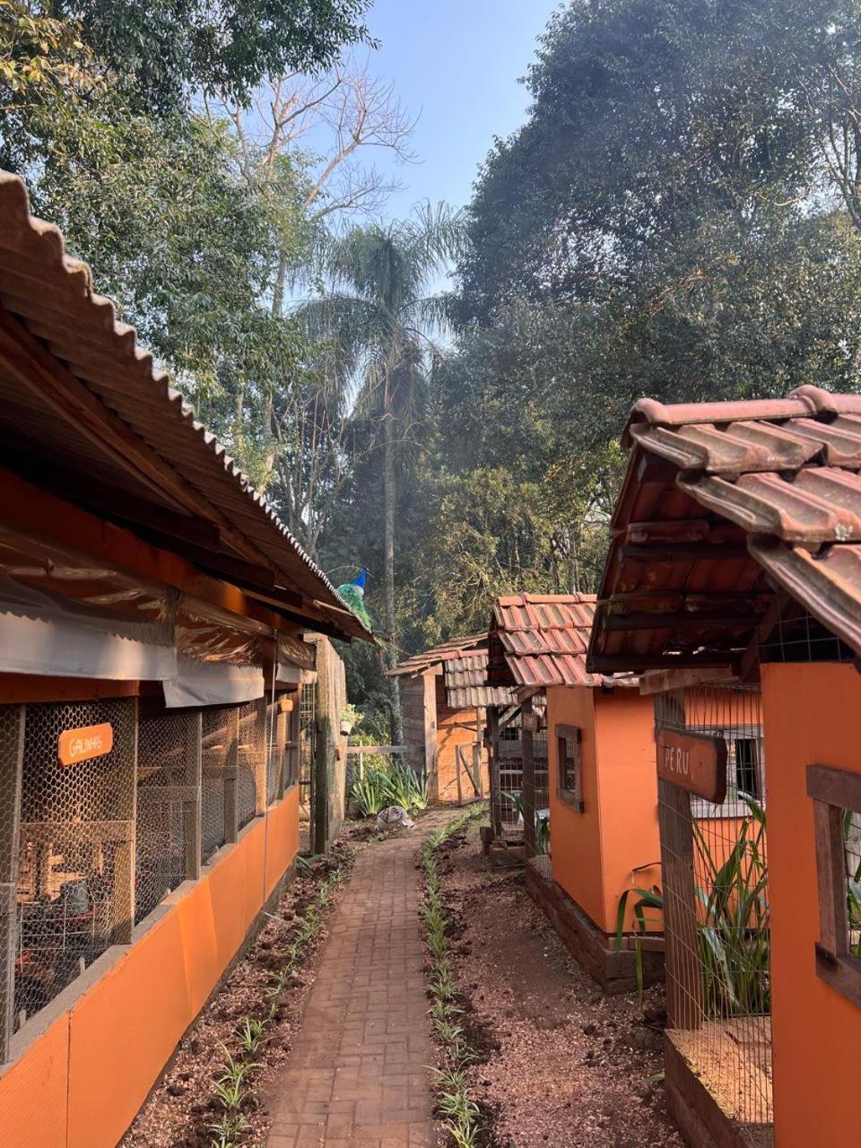 Maibe Amanhecer Na Serra Gramado