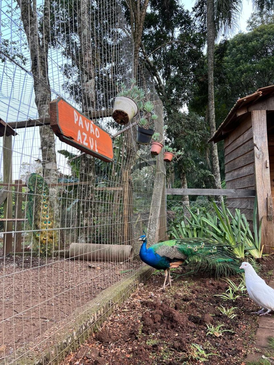 Maibe Amanhecer Na Serra Pensão