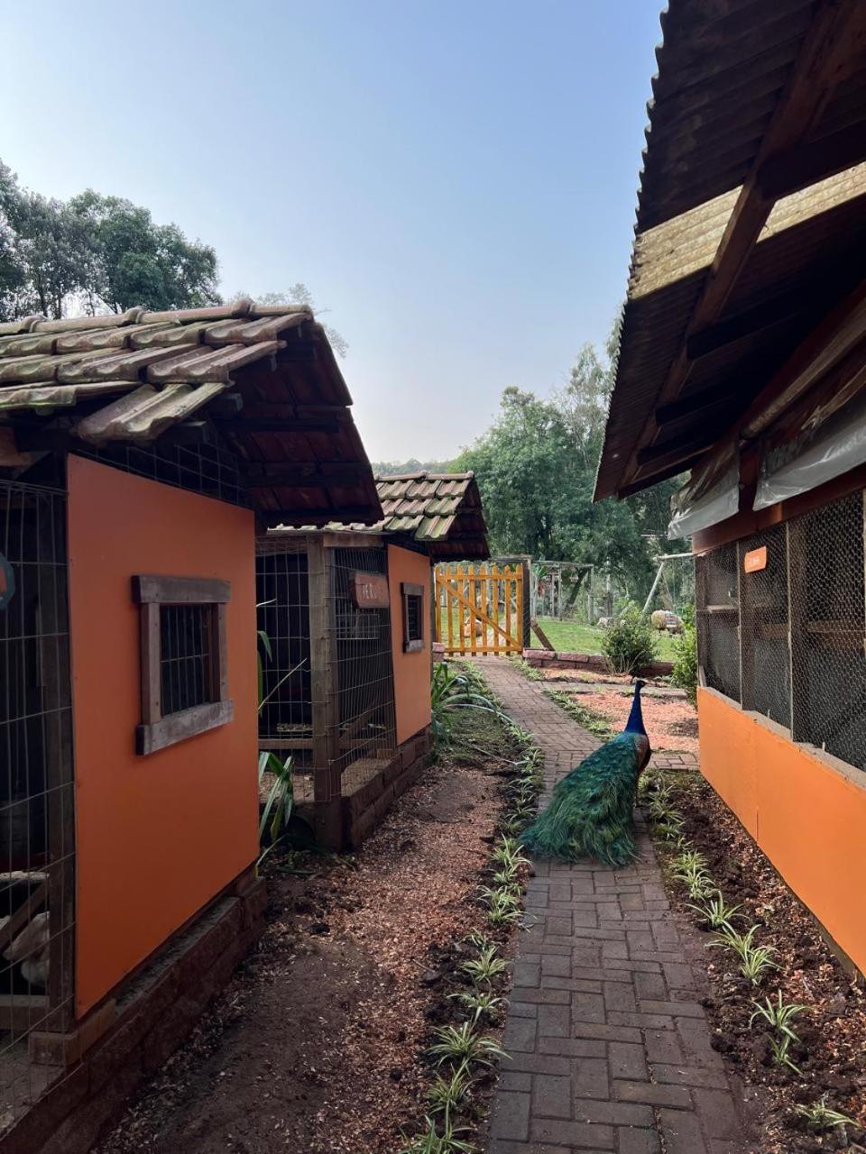 Maibe Amanhecer Na Serra Pensão 3*
