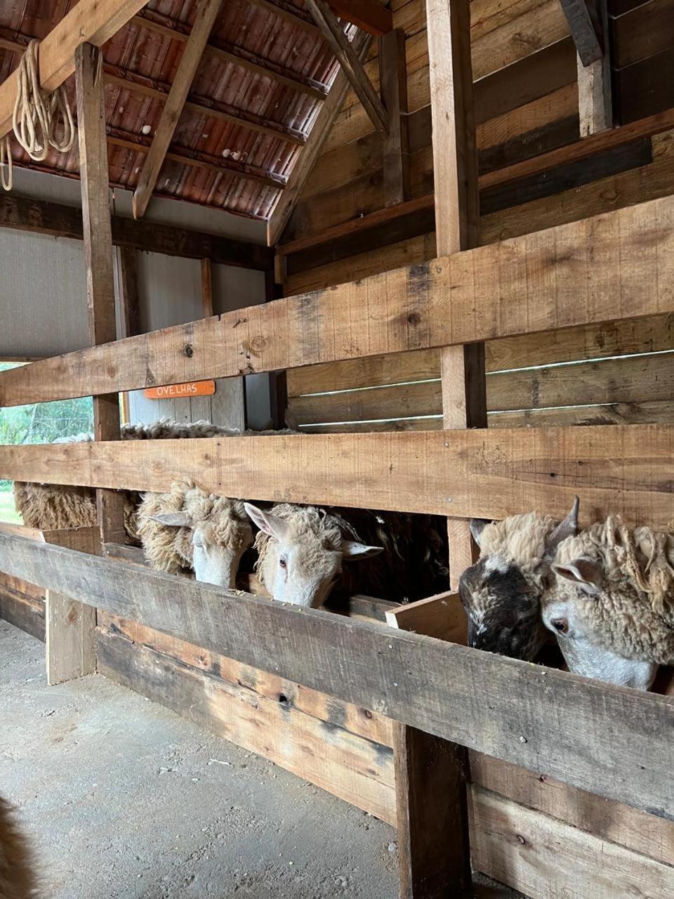 Maibe Amanhecer Na Serra Pensão Gramado