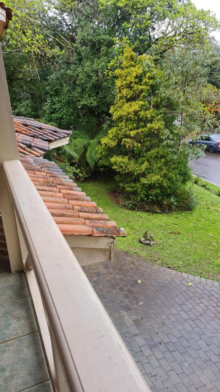 Casa Do Bosque Com Hidro, Em Local Espetacular, 5 Min Centro! *