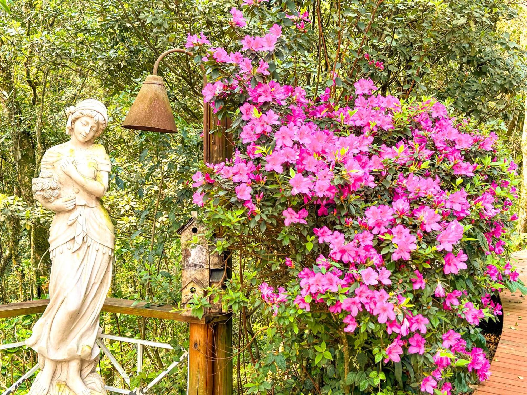 Le Boutique - Exclusivo Casais