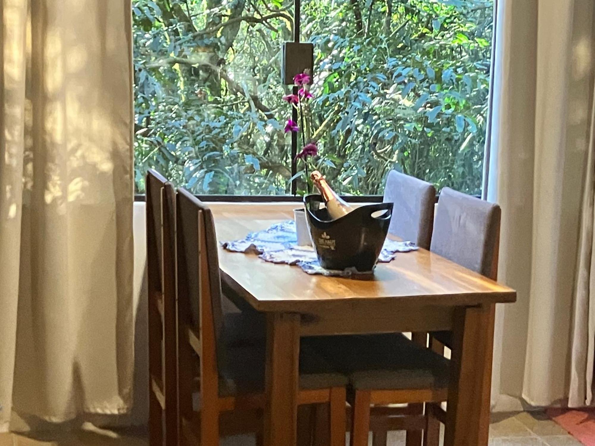Com Vista Pra Mata Nativa Apartamento