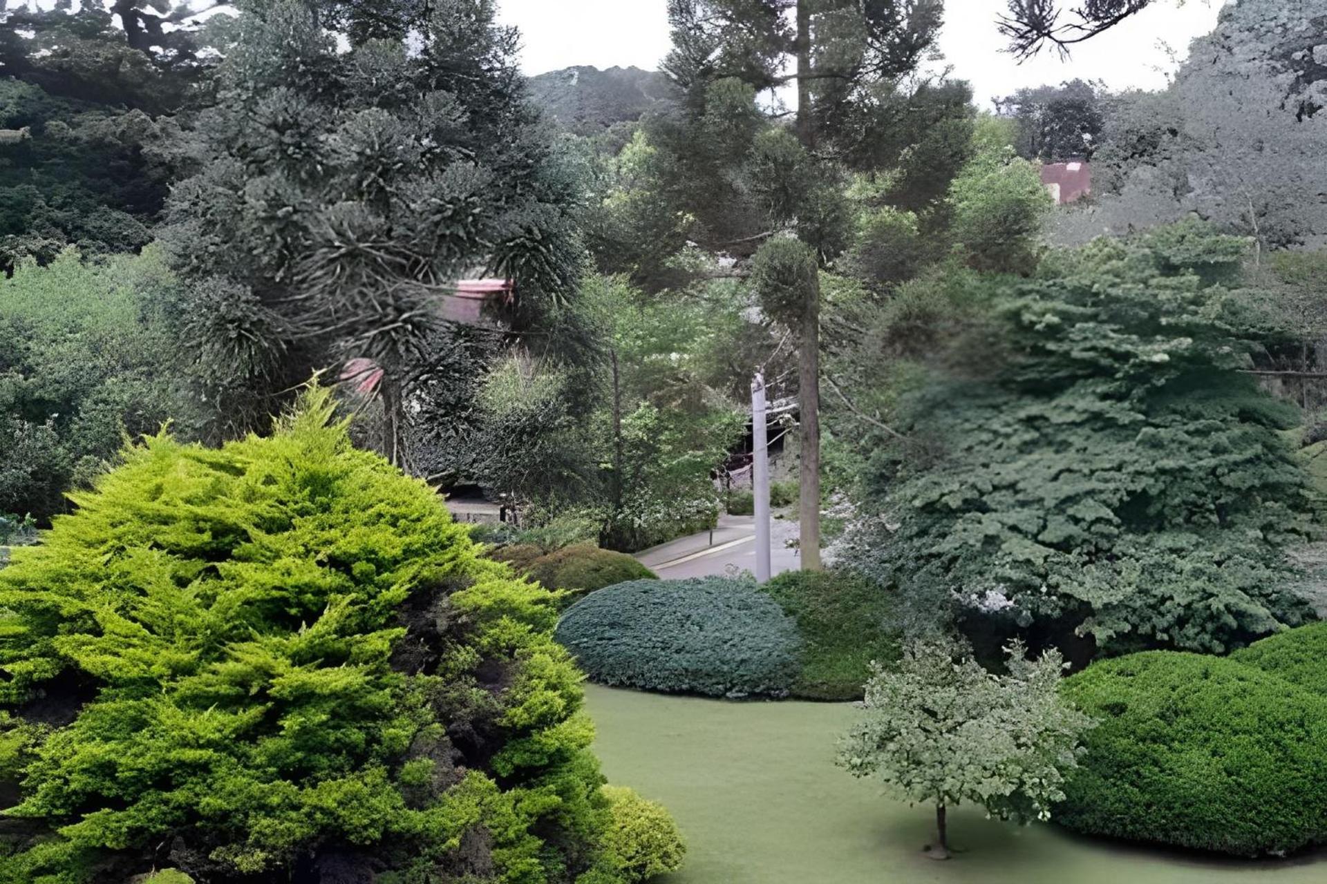 Apartamento Aconchego E Natureza, Perto De Tudo!