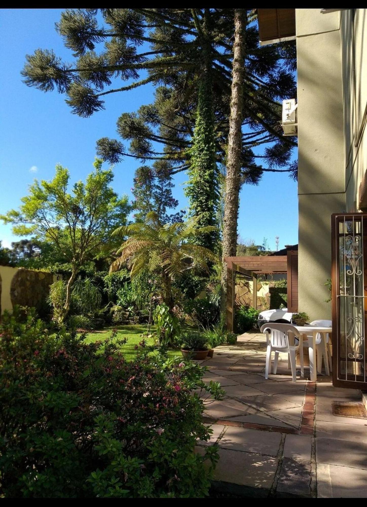 Apartamento Apto Terreo Com Patio. Perto De Tudo! Gramado