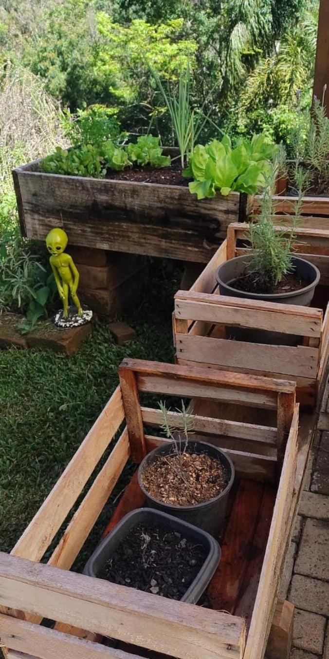 Chale Perto Do Ceu Em Chalé