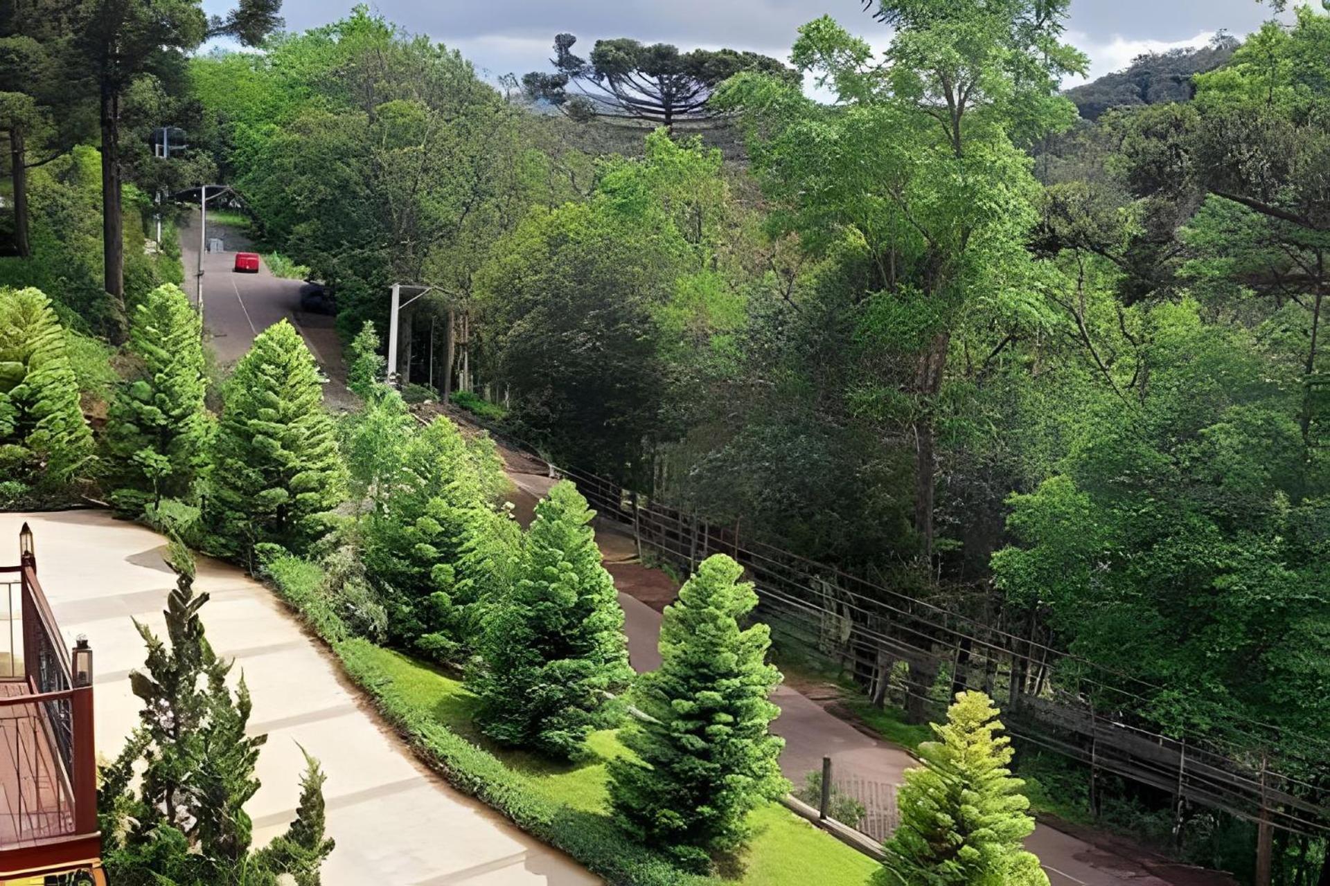 Bosque 201 Apto Junto A Natureza Proximo Ao Centro Apartamento Gramado