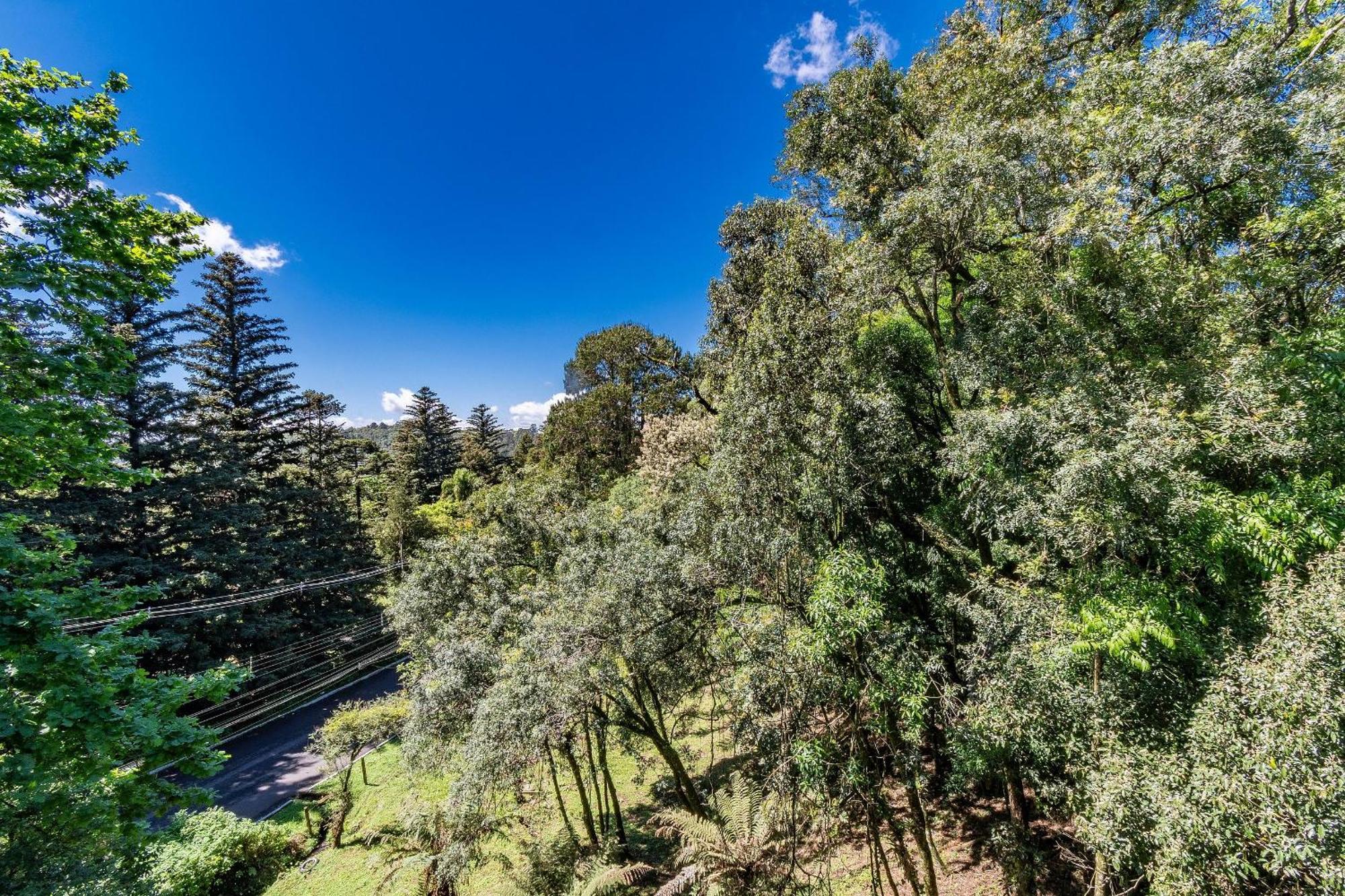 Apartamento Rosa Residencial Gruner Berg Gramado