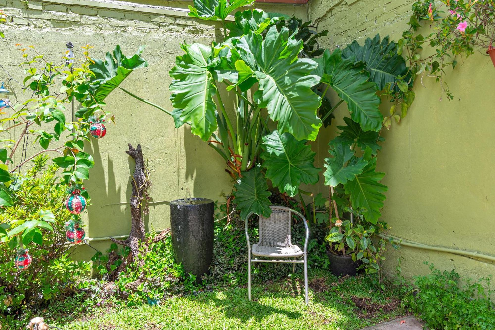 Casa de férias Casa A 900m Da Rua Coberta, Unica E Espacosa
