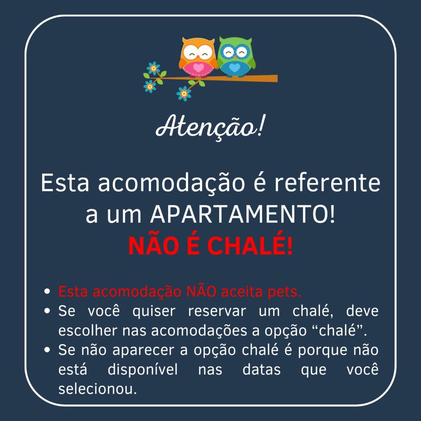 Arvore Da Coruja