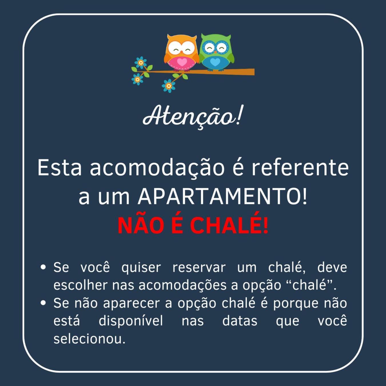 Arvore Da Coruja Pensão