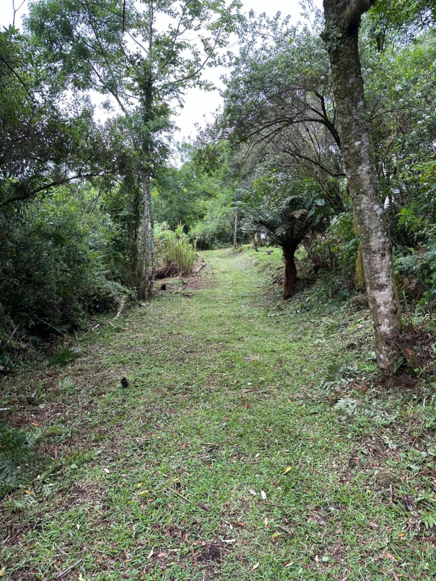 Caminho Aguas * Gramado