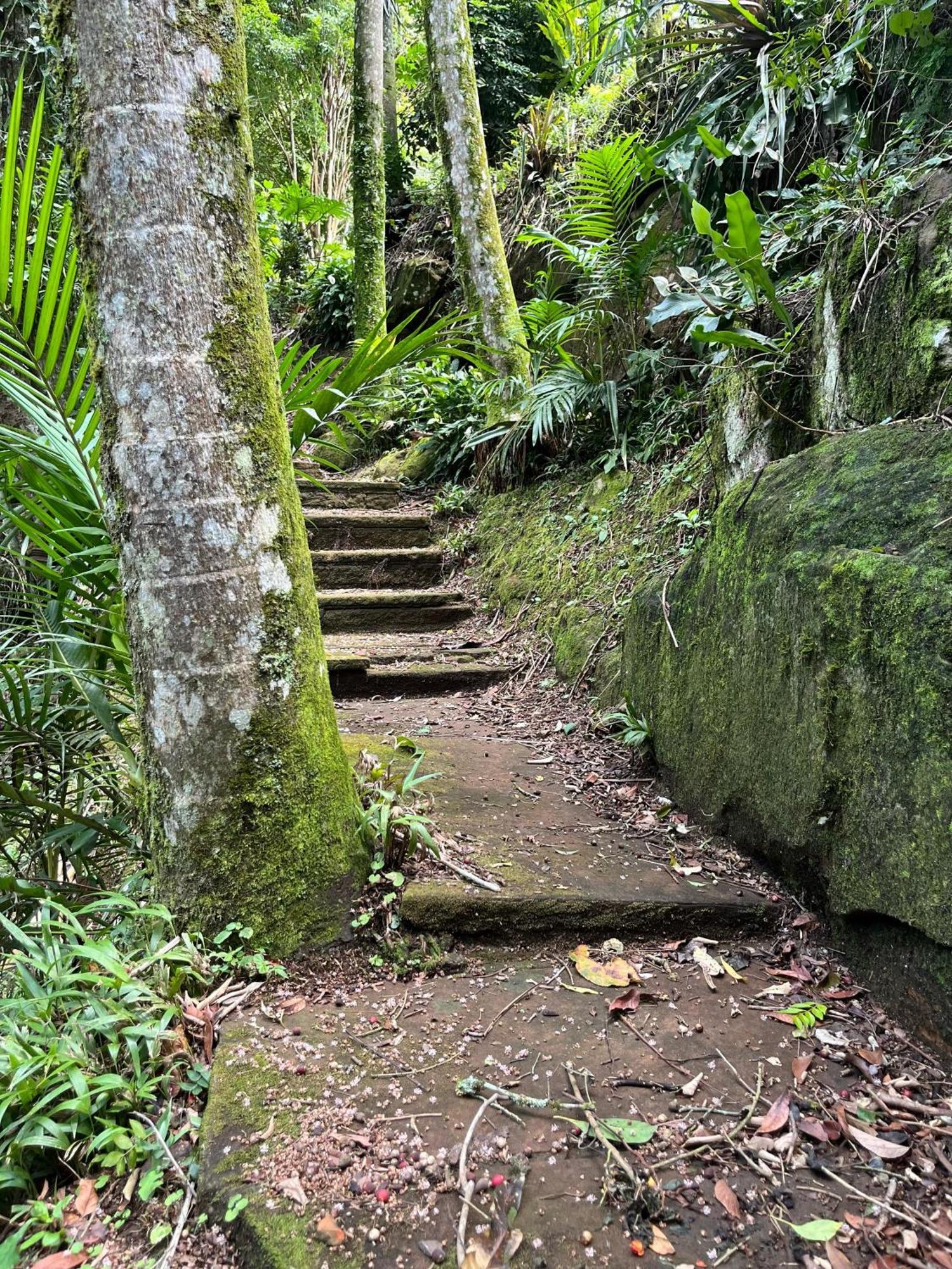 Canto Da Cascata