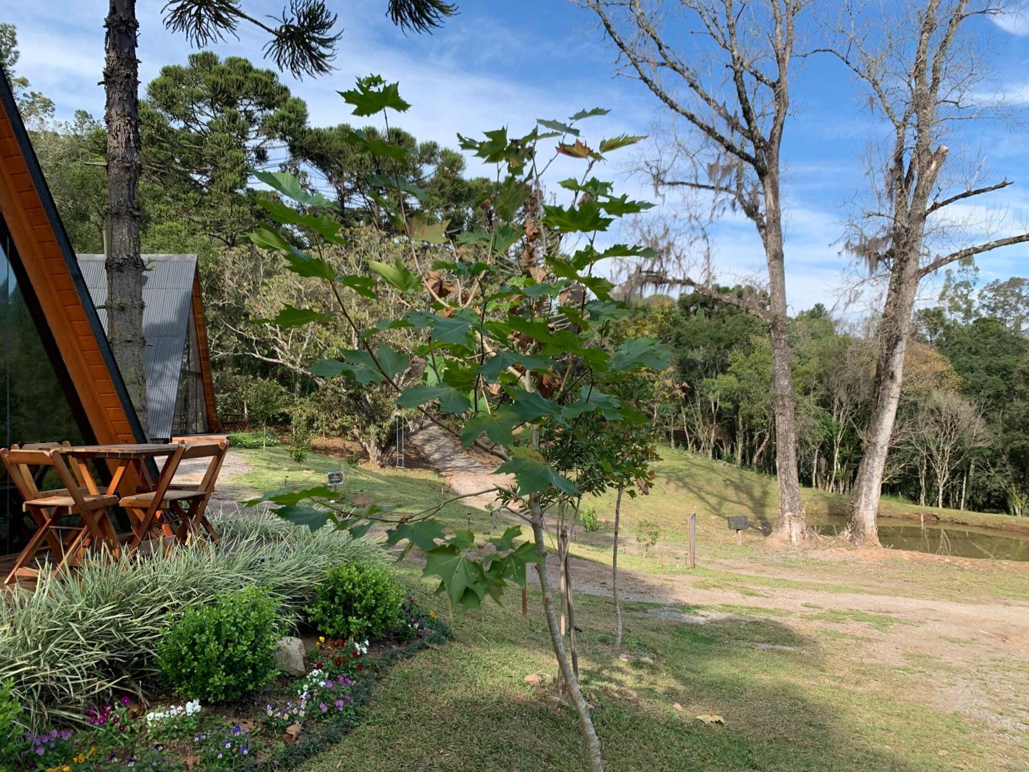 Sitio Alamo, Em Alojamento Gramado