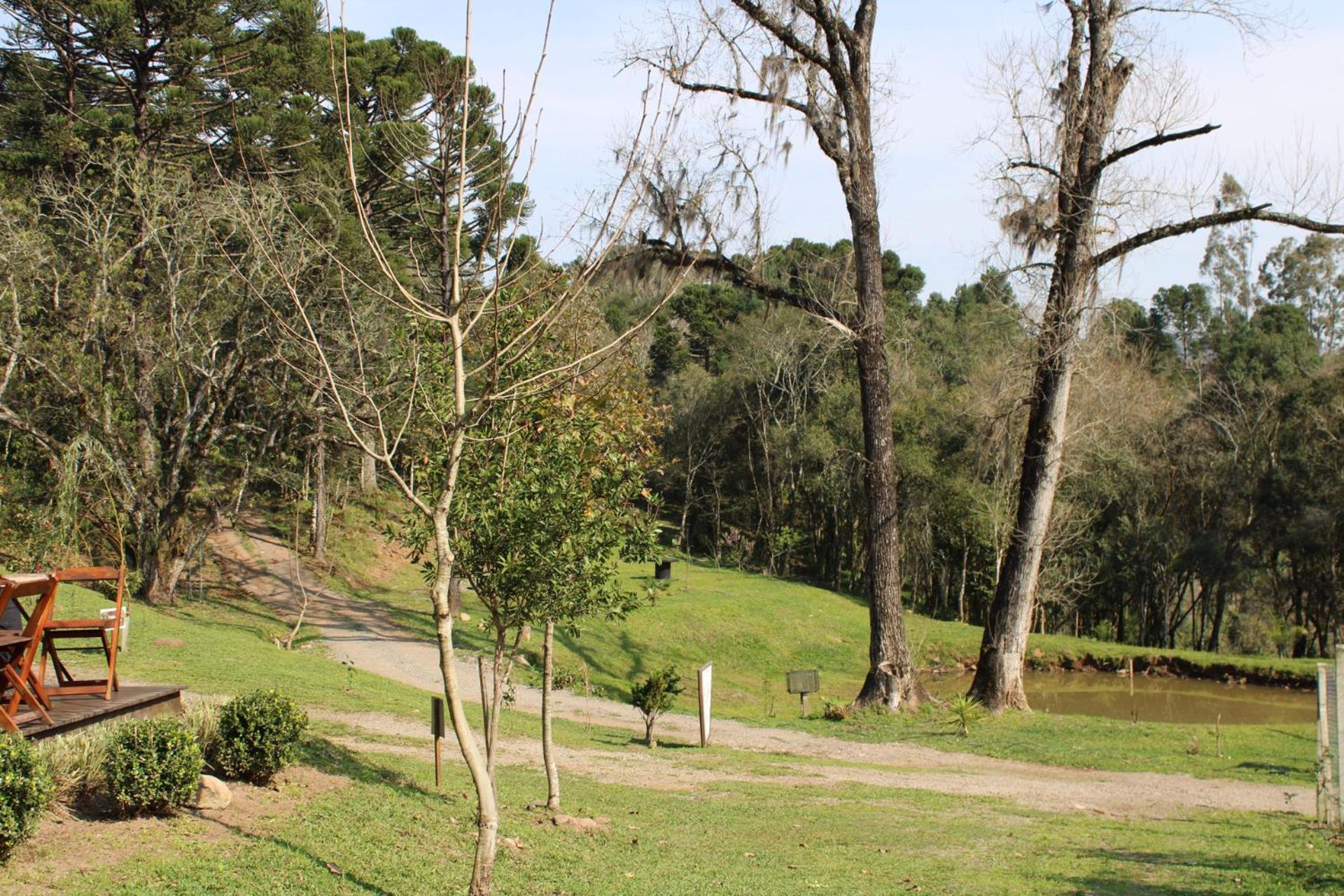 Sitio Alamo, Em * Gramado