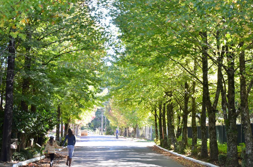 La Lavande Gramado