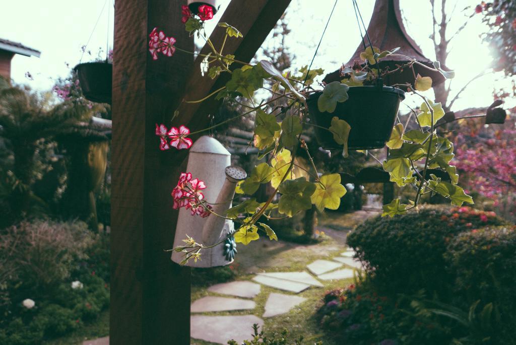 Jardim Secreto 3* Gramado