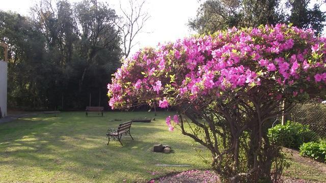 Apartamento Condado De Rosenfeld, Apartamento Exclusivo, Com 2 Quartos Gramado