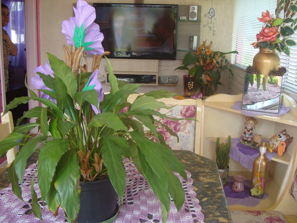 Chale Encantos Rosa E Lilas