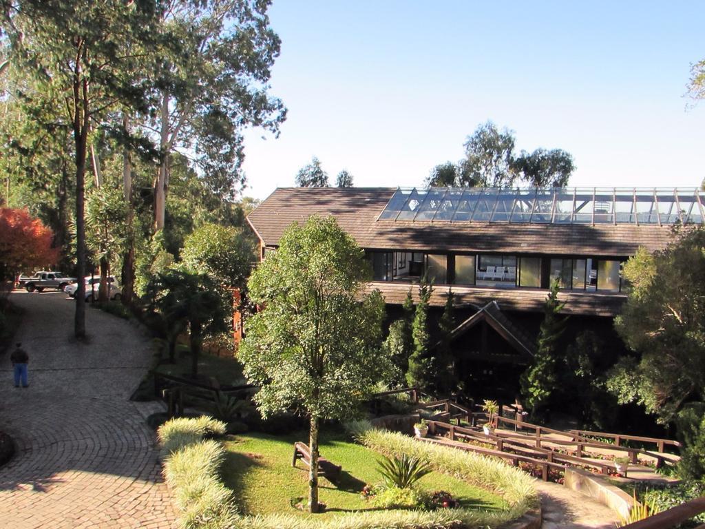 Knorrville 306 * Gramado