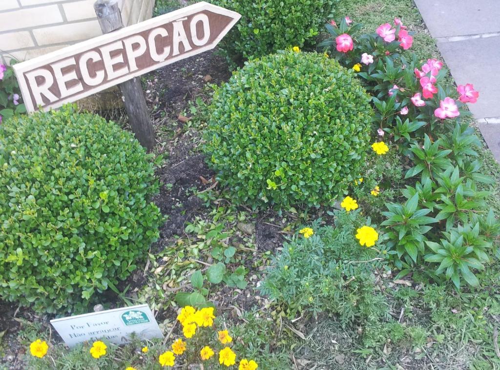 Dos Geranios
