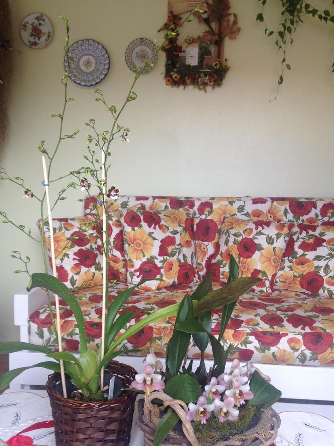 Hotel Beija Flor