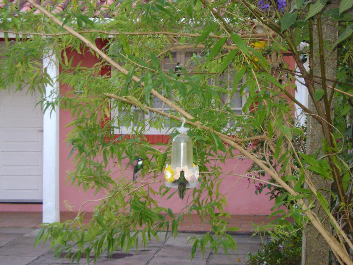 Beija Flor Hotel