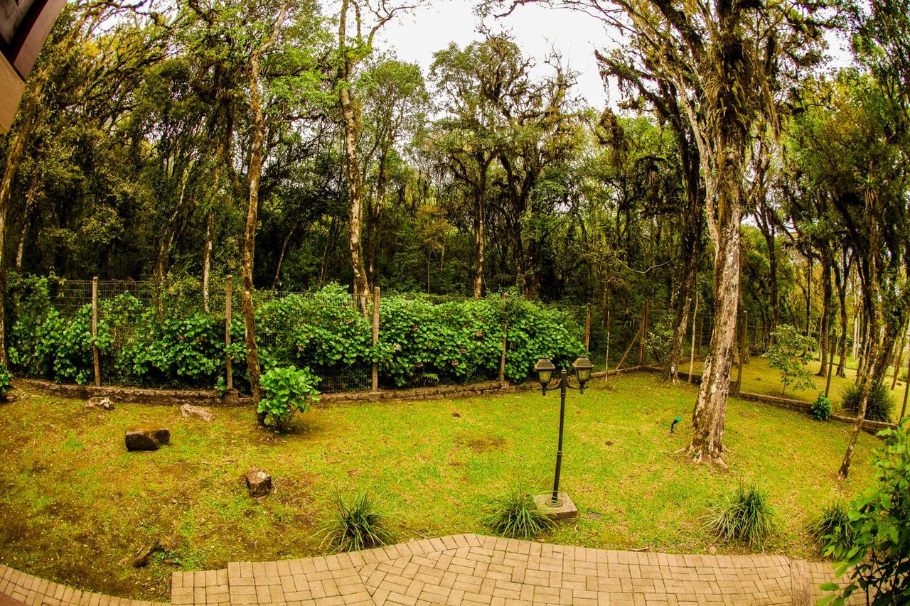 Hotel Papoulas