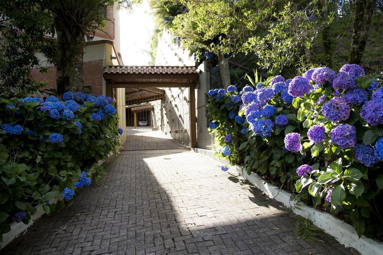 Morada Hortensias Lindo E Acolhedor No Centro