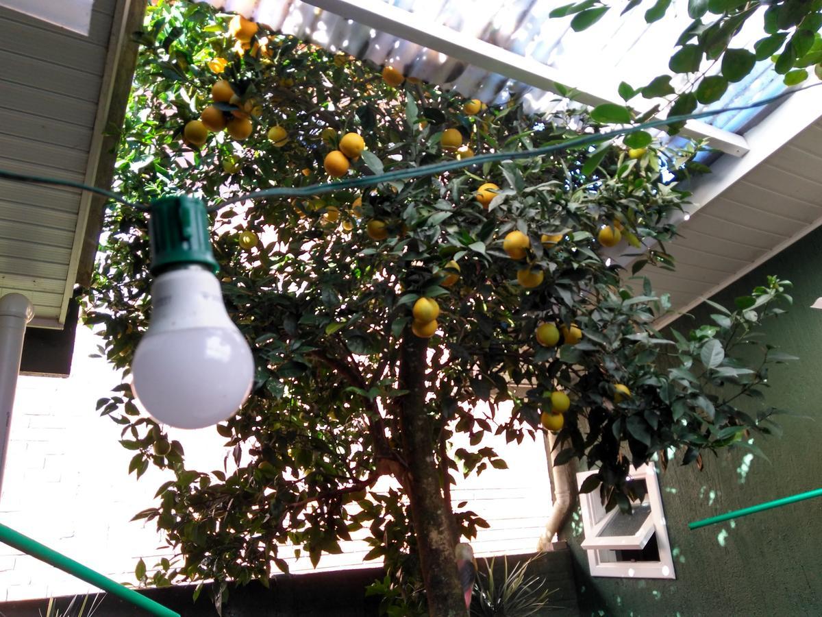 Da Laranjeira Apartamento Gramado