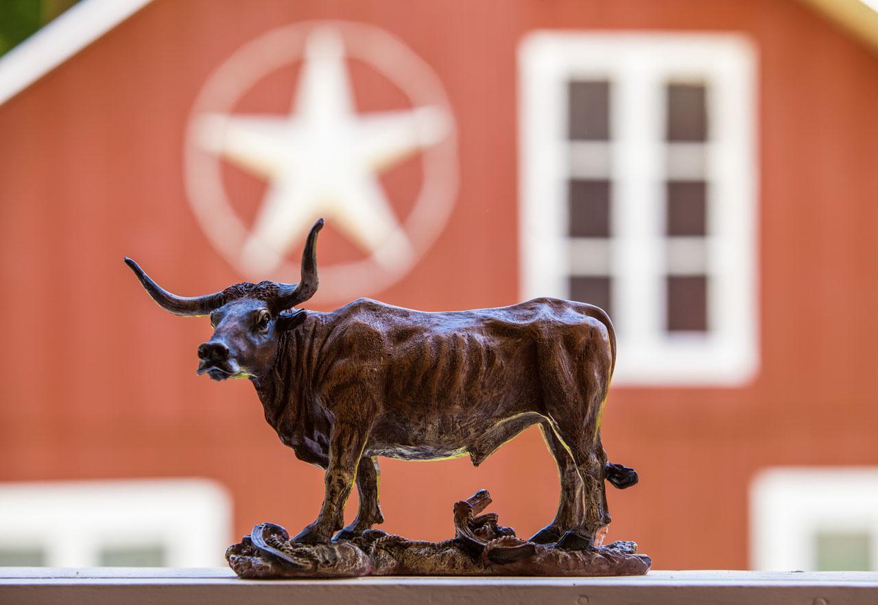 Lone Star Gramado