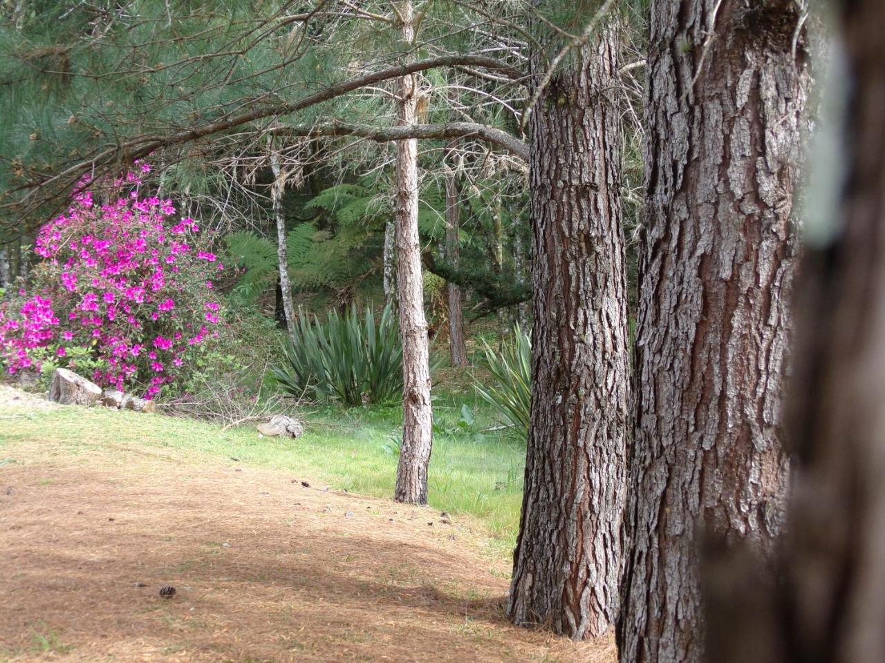 Recanto Na Montanha De Casa de férias *