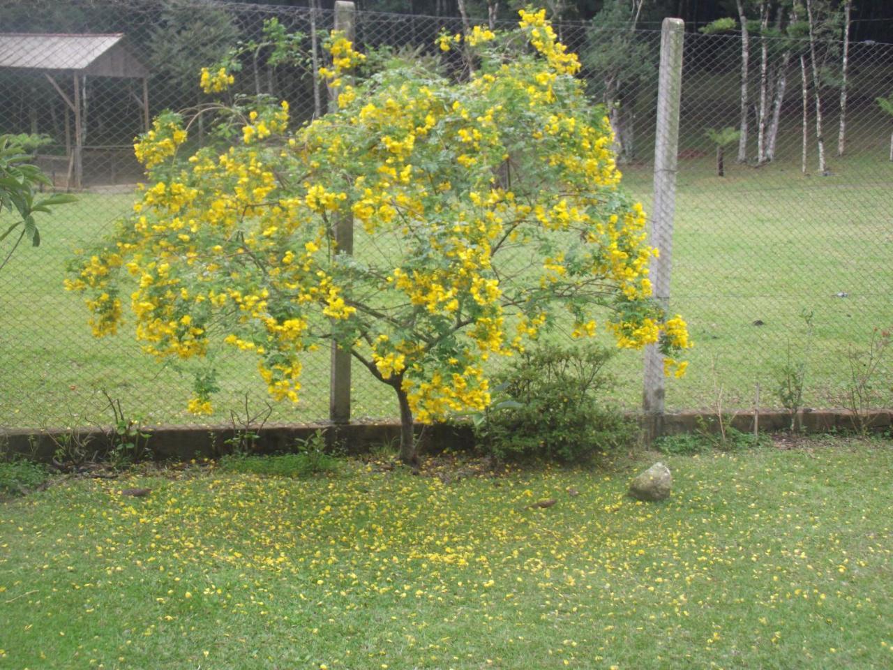 Recanto Na Montanha De Casa de férias