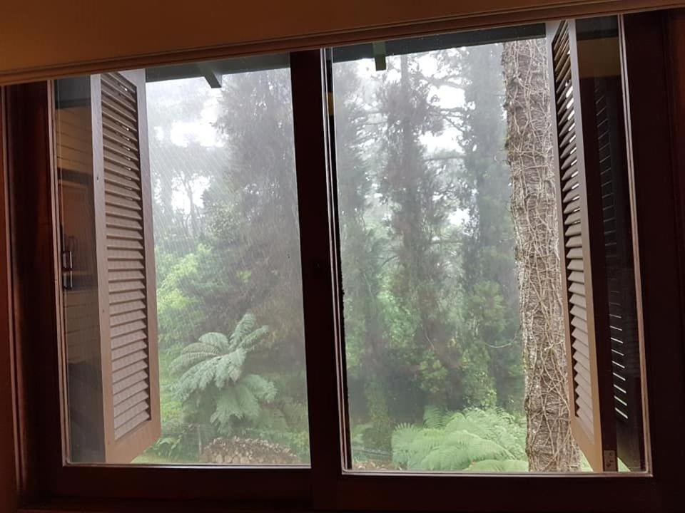 Locar-in Solar Das Hortensias Apartamento Gramado