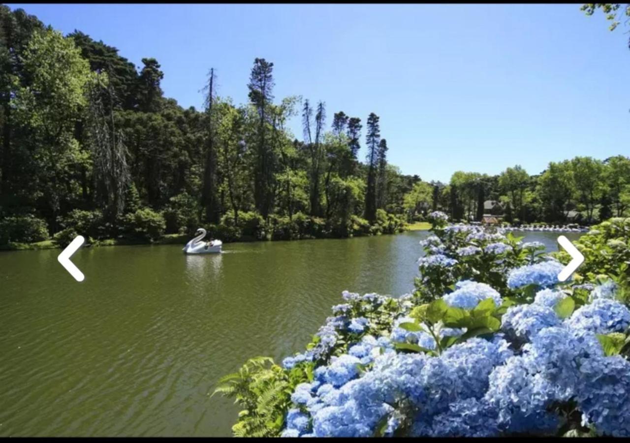 Flores Da Montanha * Gramado
