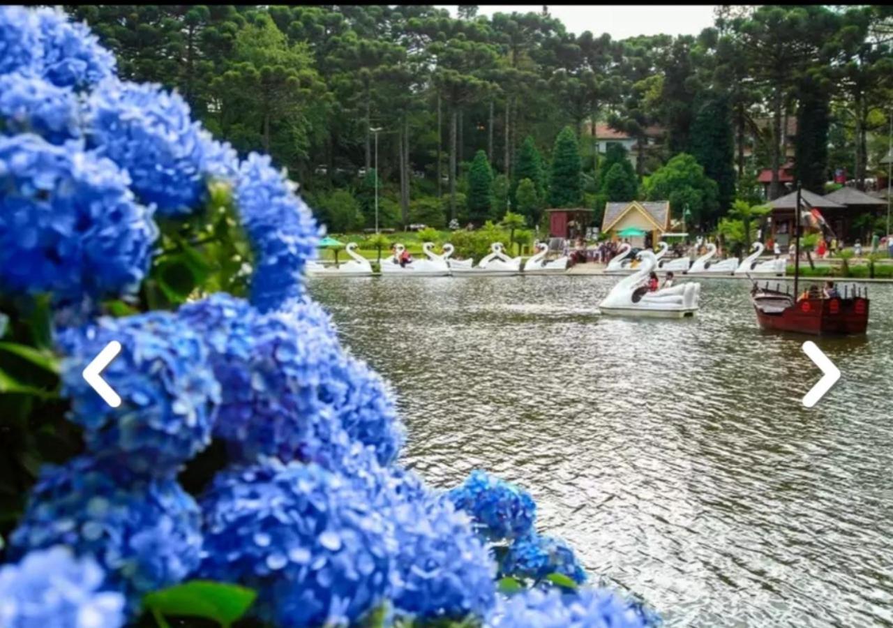 Flores Da Montanha * Gramado