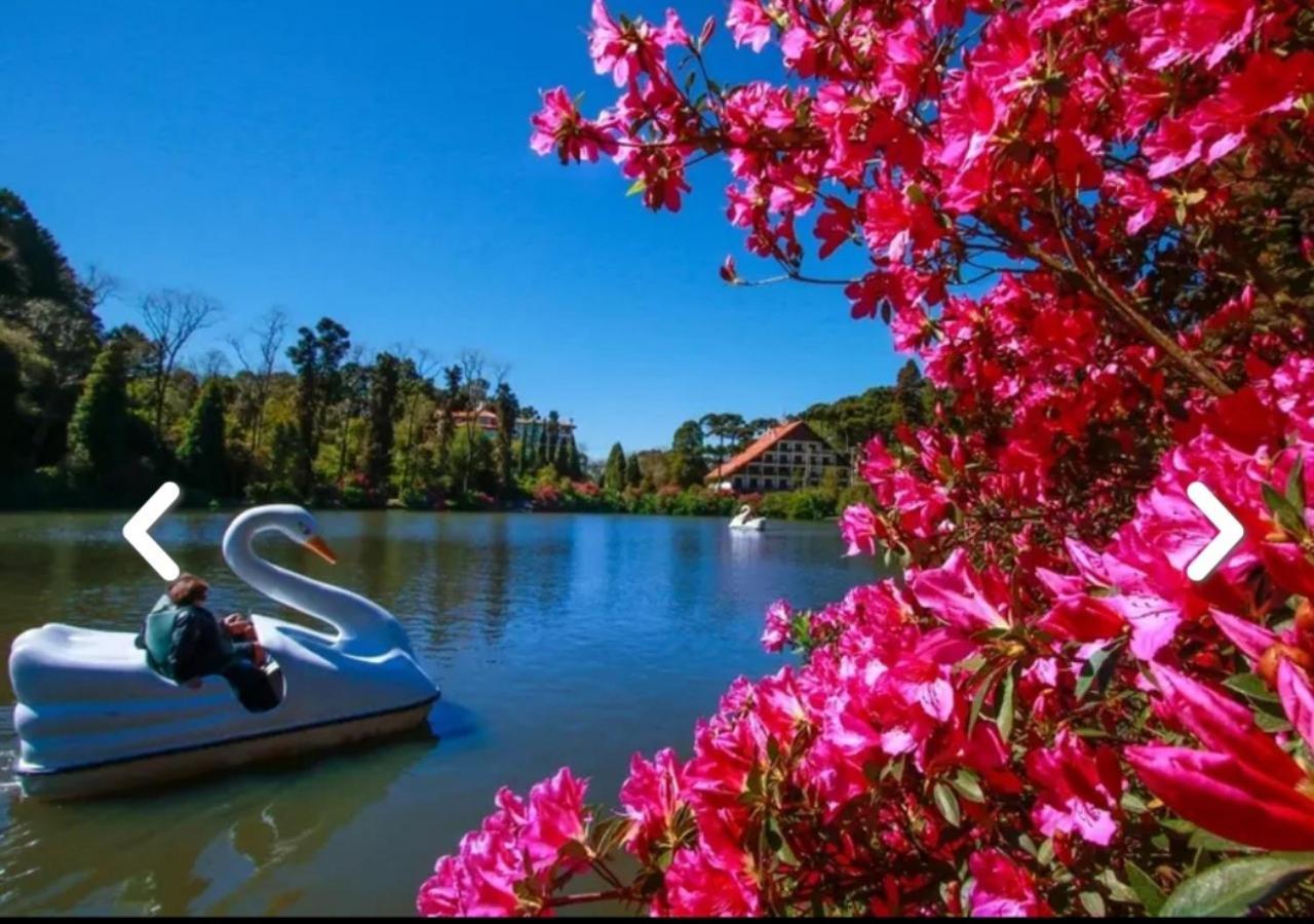 Flores Da Montanha * Gramado