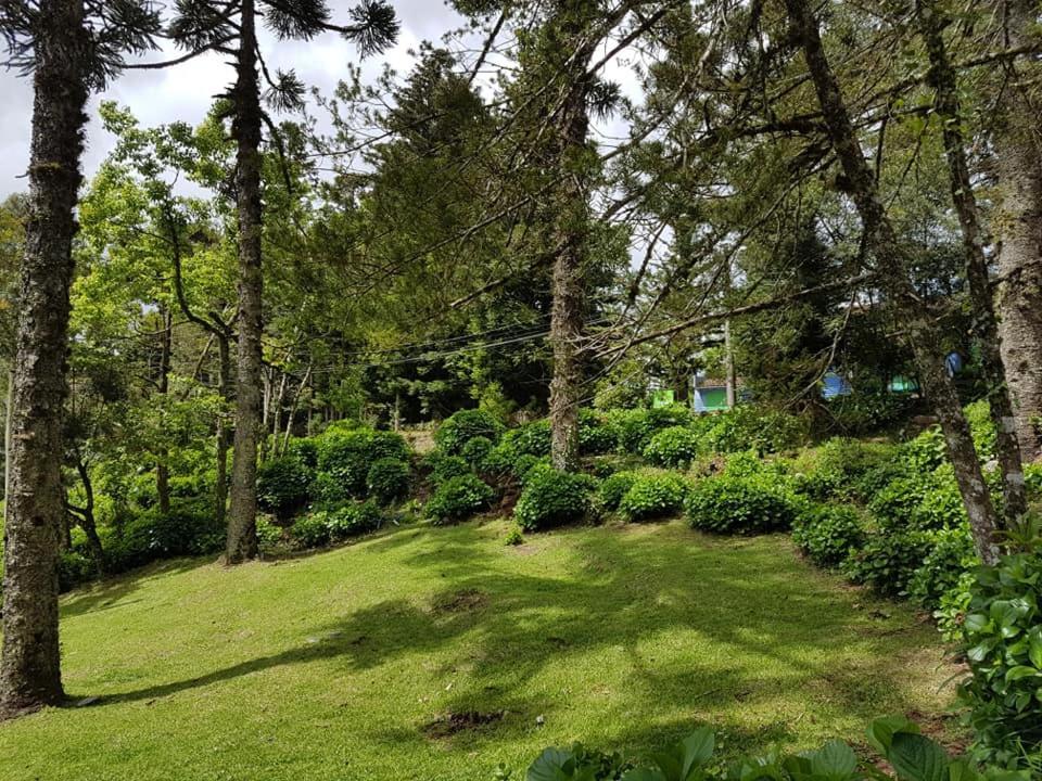 Locar-in Solar Das Hortensias Gramado