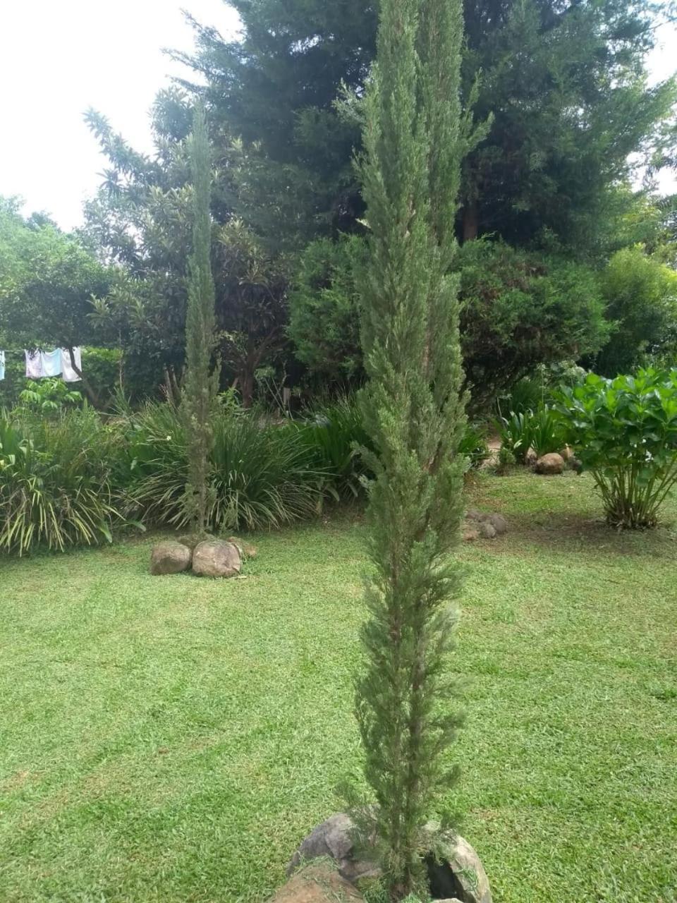 Residencial Saldanha Chalé Gramado
