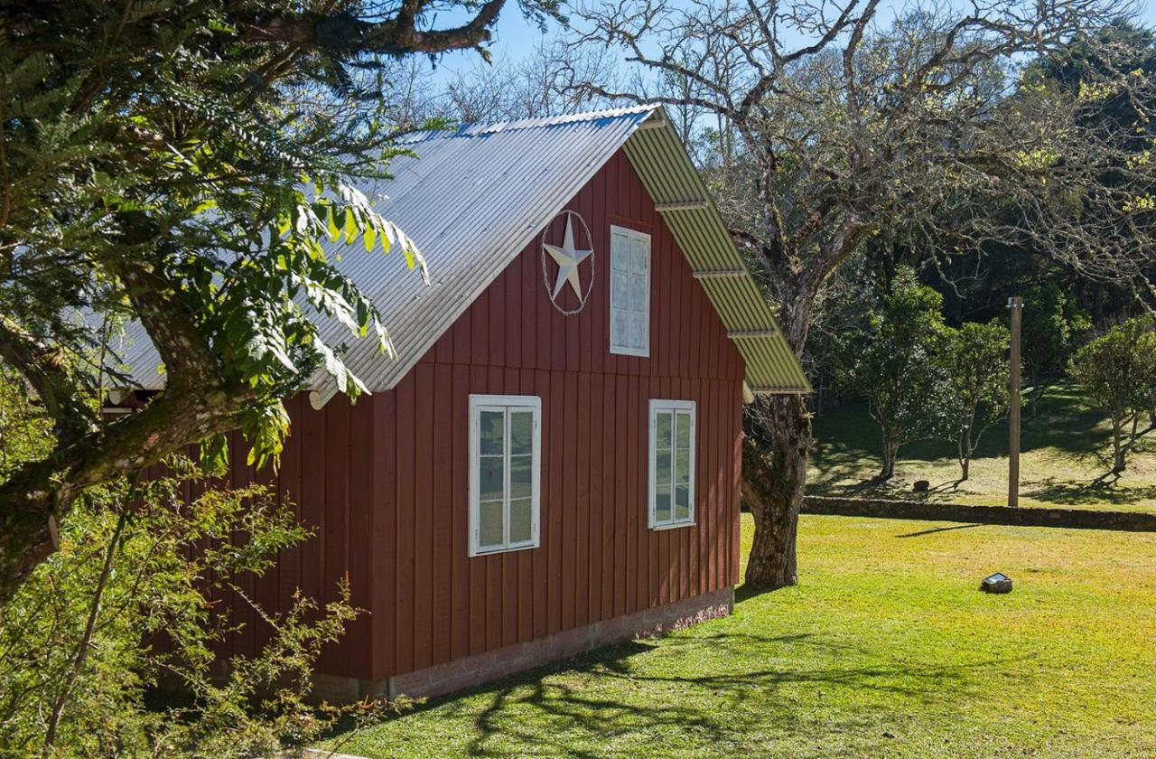 Lone Star * Gramado