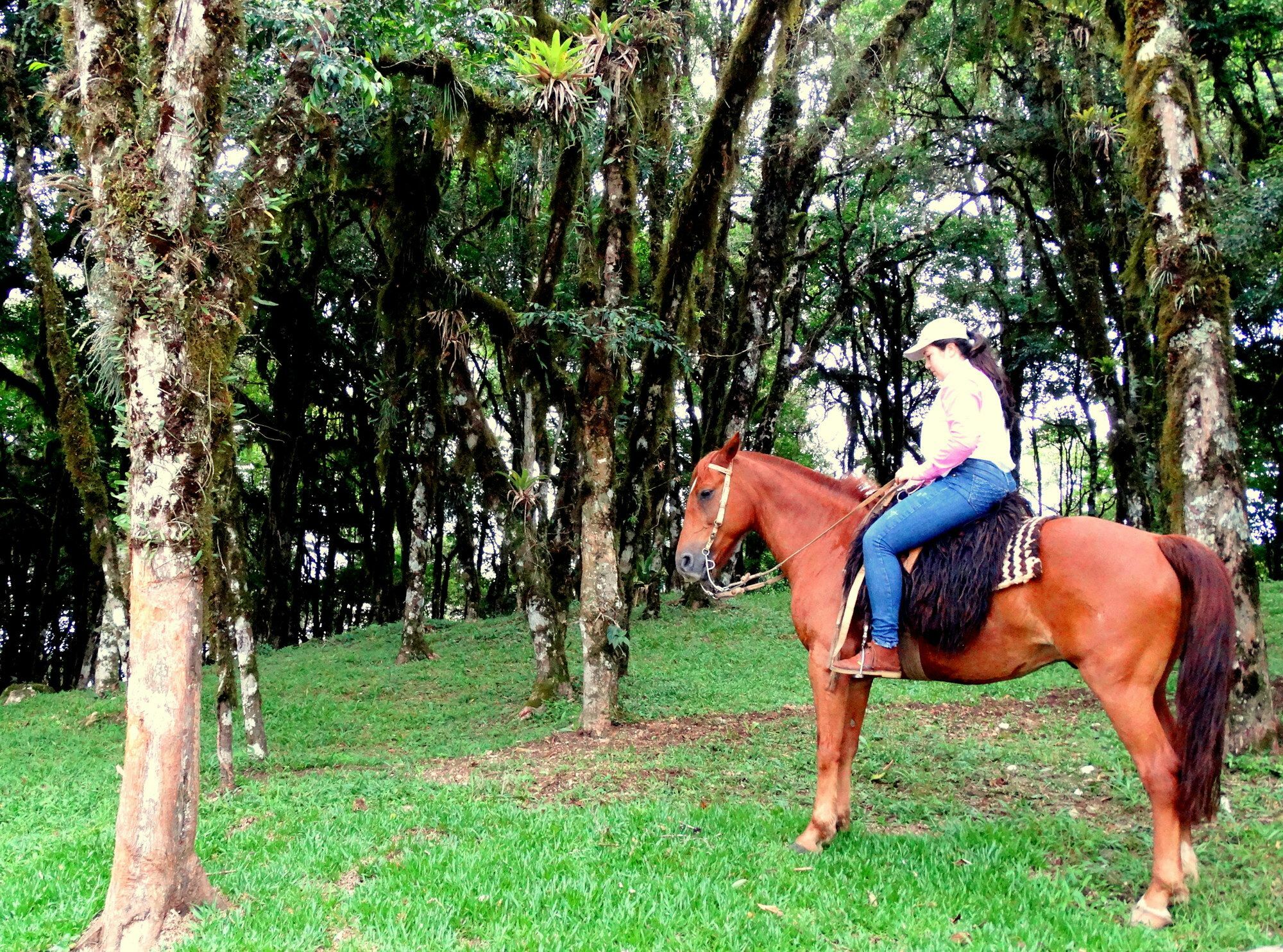 Chales Da Montanha Pensão