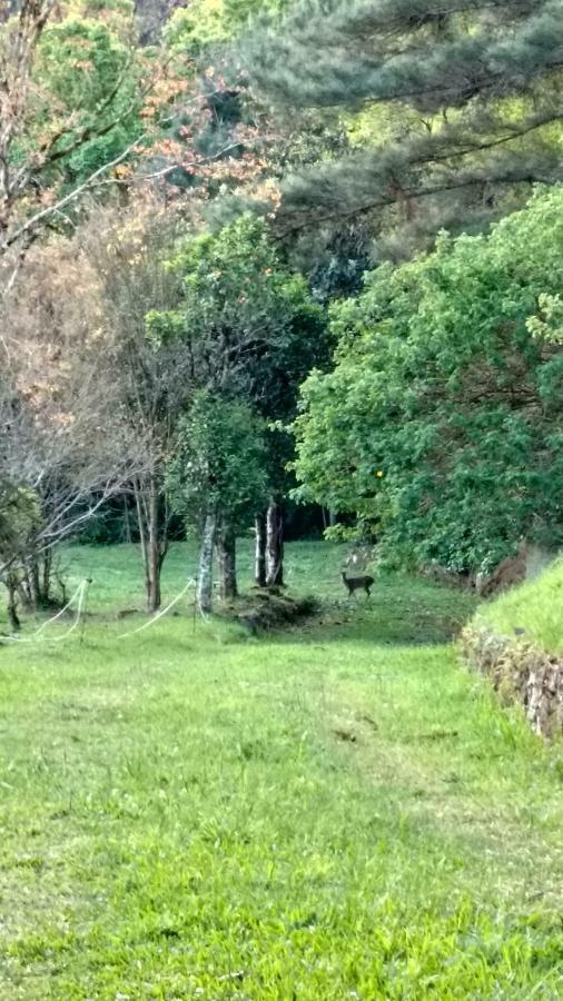 Casa de hóspedes Estalagem Reserva Da Collina 2*