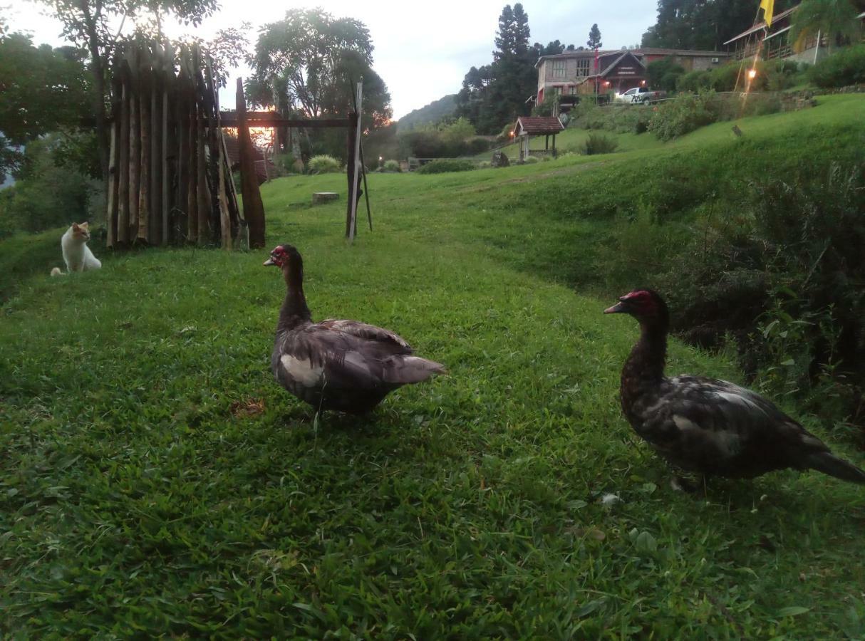 Estalagem Reserva Da Collina Casa de hóspedes 2*