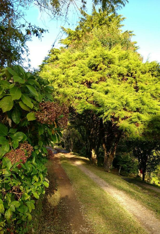 Estalagem Reserva Da Collina 2*