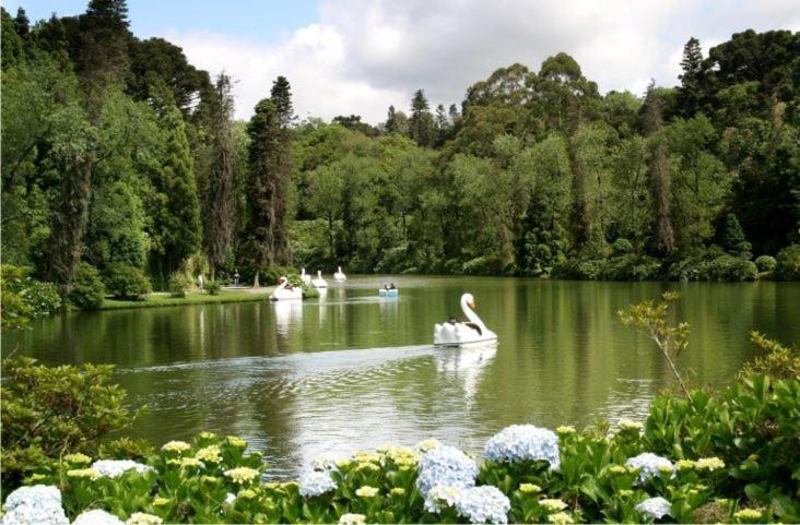 Negro Gramado