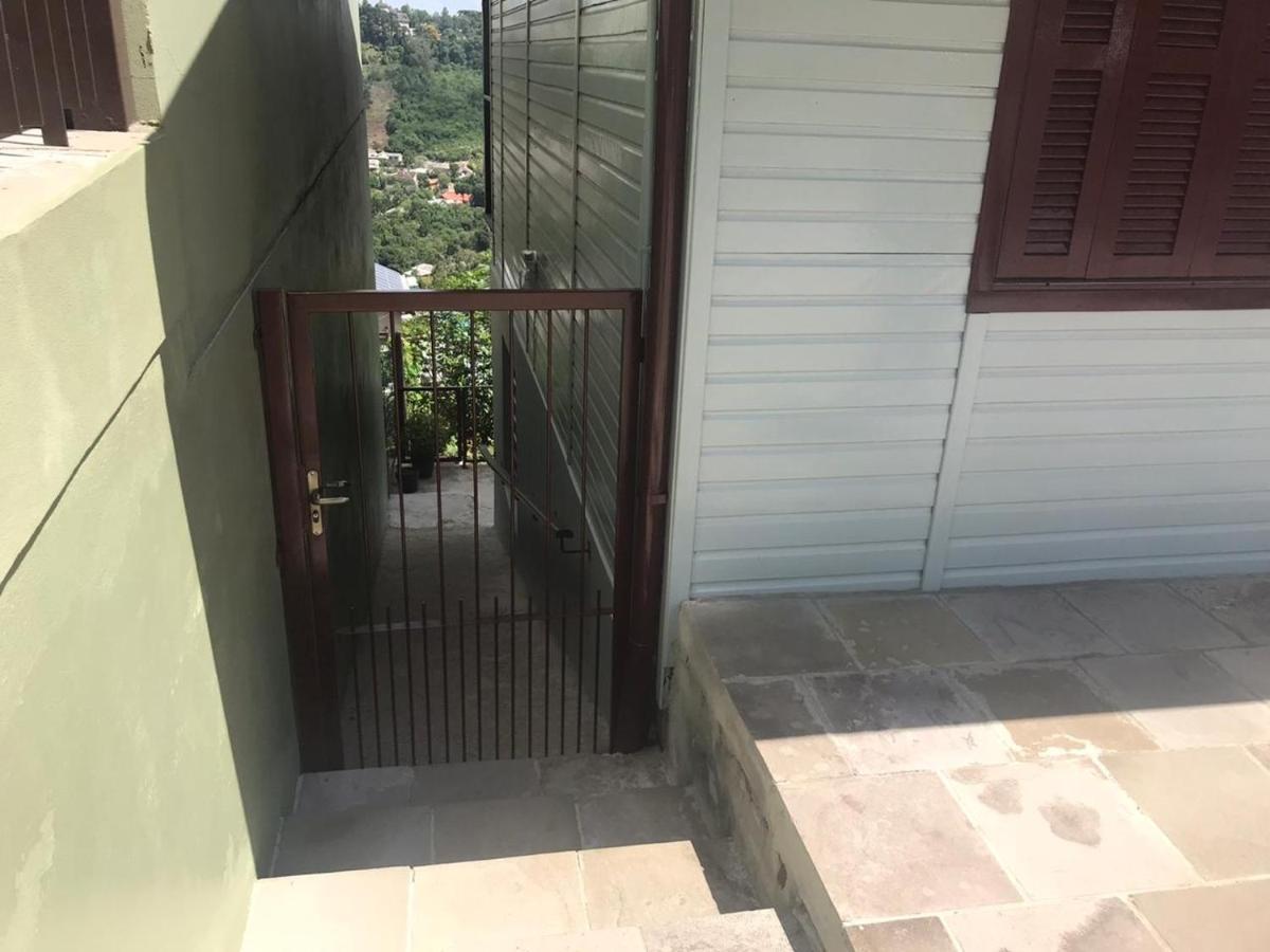 Alta Vista