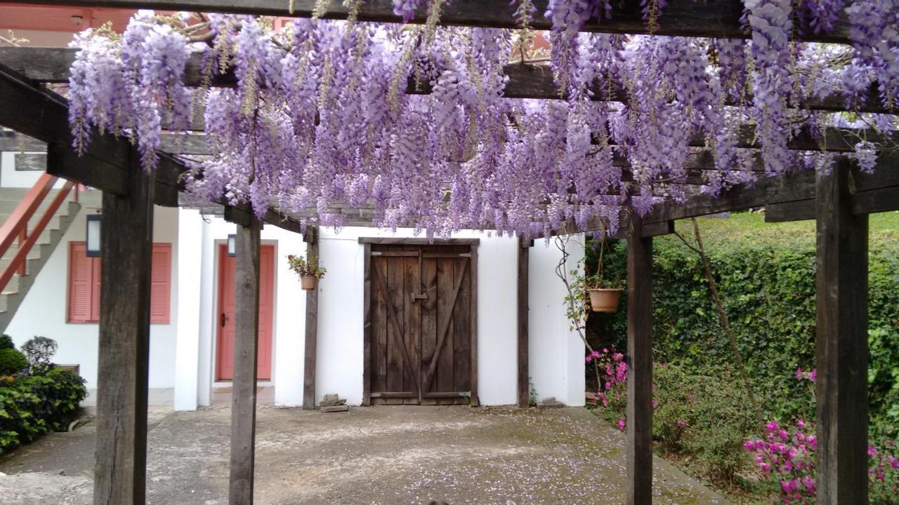 Aromas