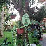 Hospedagem Caminho das Rosas - parcelamento direto